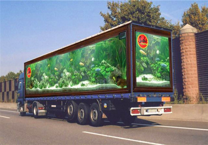 Optical hot car models fantasy art pop surreal world illusions